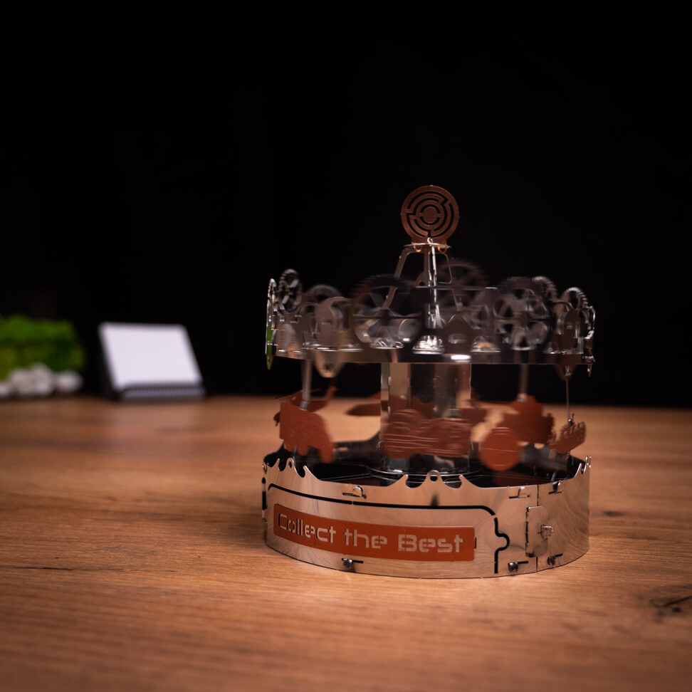 RIDING THE BEST CAROUSEL