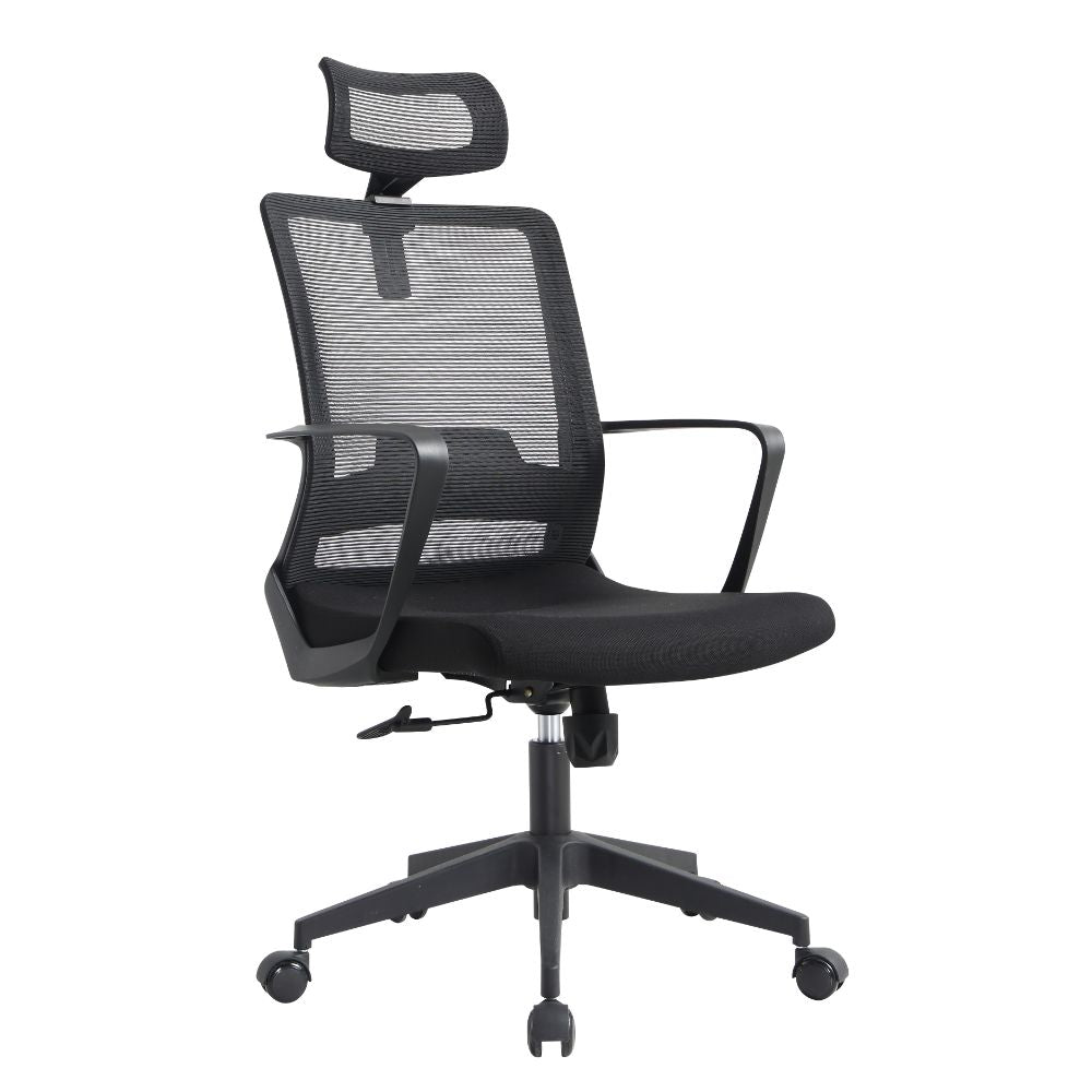 Full Back Revolving Ergonomic Office Chair Eladio, Black Wengue Finish