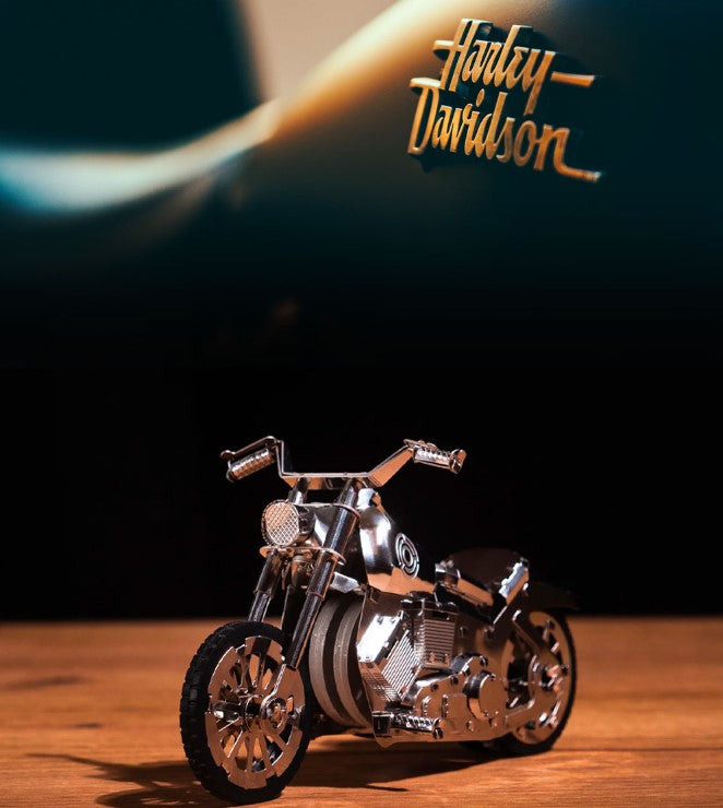 ROADWAY FANTASY HARLEY MOTORCYCLE